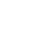 Pickleball Paddles